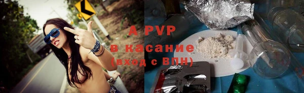 apvp Верея
