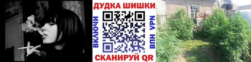 Купить  Онега  Шишки марихуана Ganja 